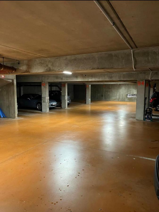Choupette De La Vallee Avec Garage Kaysersberg-Vignoble Eksteriør billede