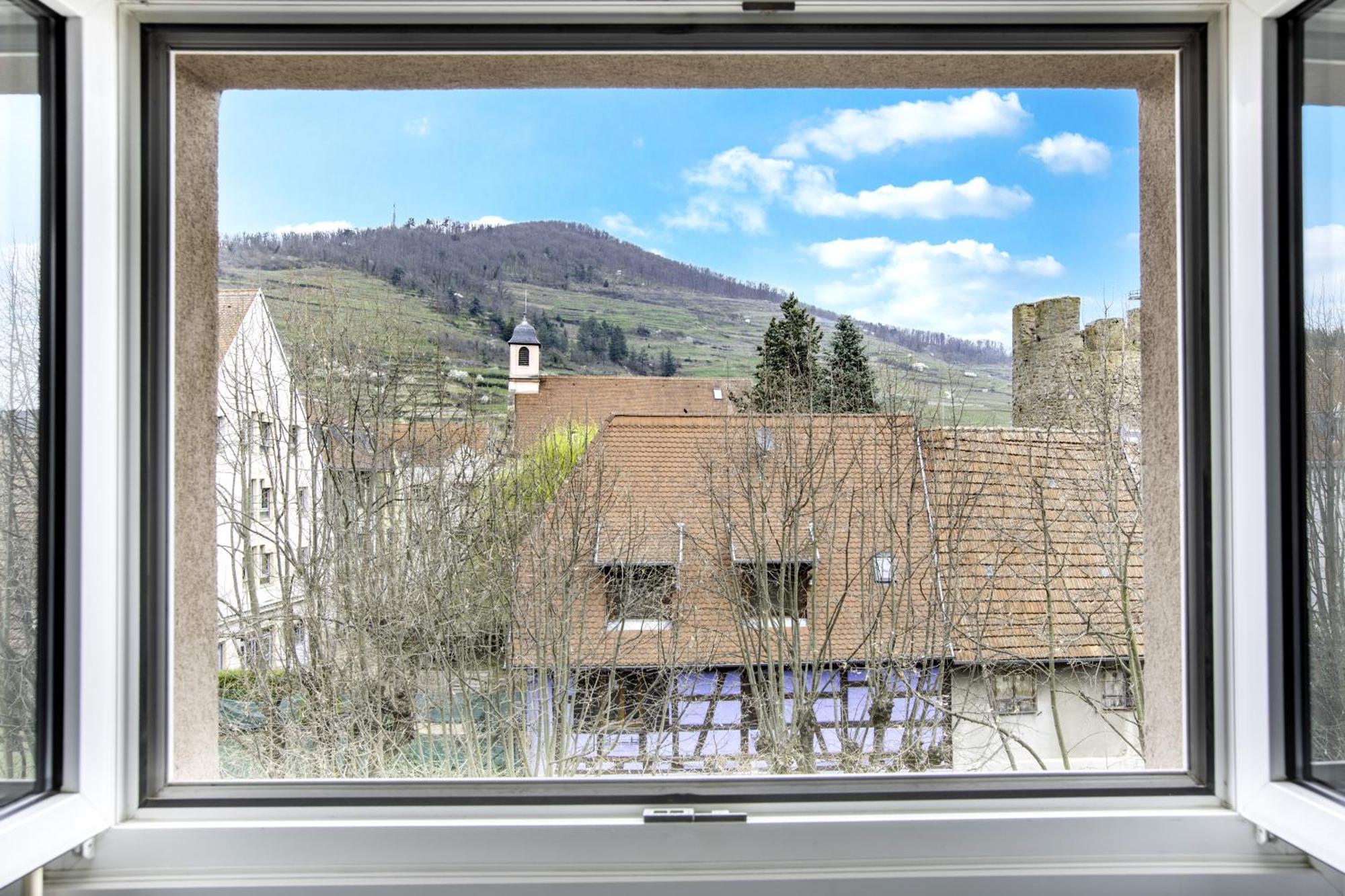 Choupette De La Vallee Avec Garage Kaysersberg-Vignoble Eksteriør billede